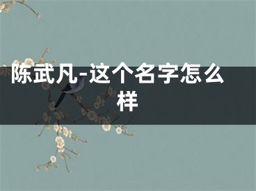 陈武凡-这个名字怎么样