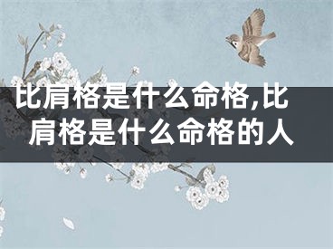 比肩格是什么命格,比肩格是什么命格的人