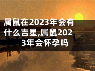 属鼠在2023年会有什么吉星,属鼠2023年会怀孕吗