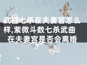 武曲七杀在夫妻宫怎么样,紫微斗数七杀武曲在夫妻宫是否会离婚