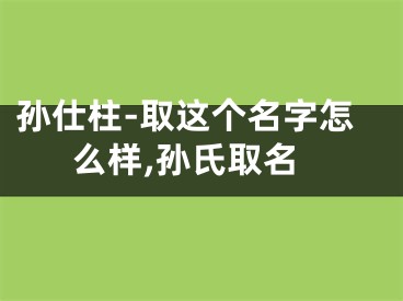 孙仕柱-取这个名字怎么样,孙氏取名