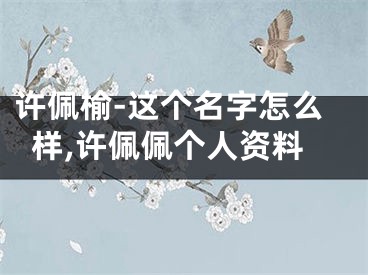 许佩榆-这个名字怎么样,许佩佩个人资料