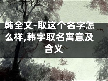 韩全文-取这个名字怎么样,韩字取名寓意及含义