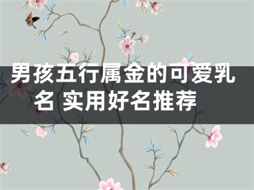 男孩五行属金的可爱乳名 实用好名推荐