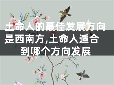 土命人的蕞佳发展方向是西南方,土命人适合到哪个方向发展