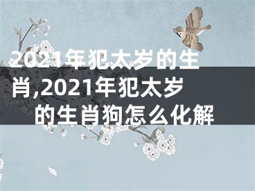 2021年犯太岁的生肖,2021年犯太岁的生肖狗怎么化解