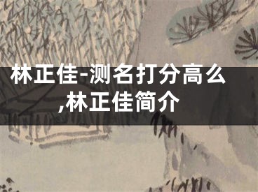 林正佳-测名打分高么,林正佳简介