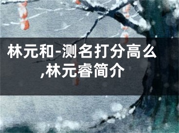 林元和-测名打分高么,林元睿简介