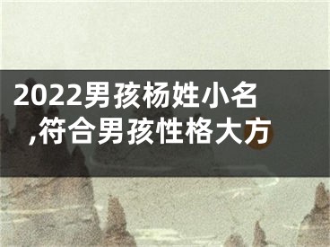 2022男孩杨姓小名,符合男孩性格大方