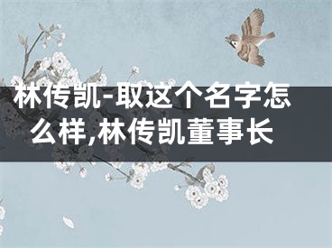 林传凯-取这个名字怎么样,林传凯董事长