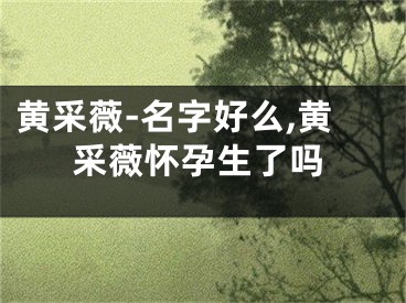 黄采薇-名字好么,黄采薇怀孕生了吗