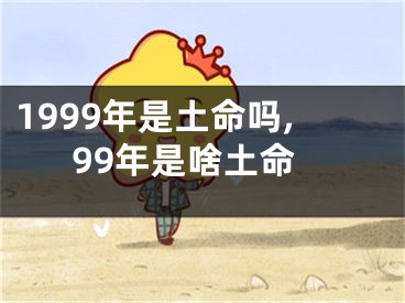 1999年是土命吗,99年是啥土命