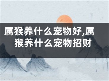 属猴养什么宠物好,属猴养什么宠物招财