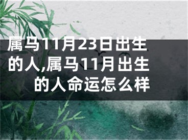 属马11月23日出生的人,属马11月出生的人命运怎么样