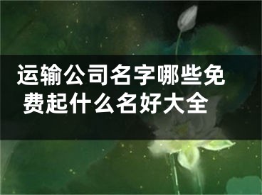  运输公司名字哪些免费起什么名好大全 