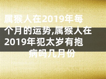 属猴人在2019年每个月的运势,属猴人在2019年犯太岁有抱病吗几月份