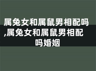 属兔女和属鼠男相配吗,属兔女和属鼠男相配吗婚姻