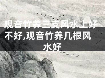 观音竹养三支风水上好不好,观音竹养几根风水好