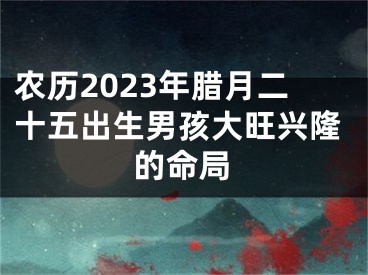 农历2023年腊月二十五出生男孩大旺兴隆的命局