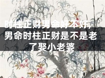 时柱正财男命好不好,男命时柱正财是不是老了娶小老婆