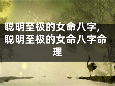 聪明至极的女命八字,聪明至极的女命八字命理