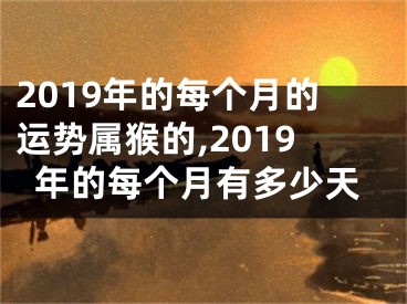 2019年的每个月的运势属猴的,2019年的每个月有多少天