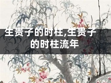 生贵子的时柱,生贵子的时柱流年