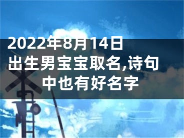 2022年8月14日出生男宝宝取名,诗句中也有好名字