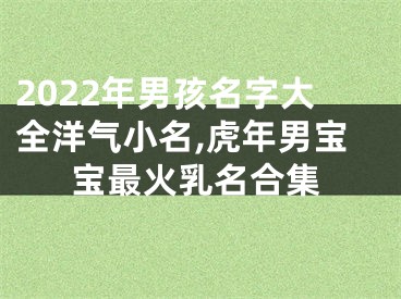 2022年男孩名字大全洋气小名,虎年男宝宝最火乳名合集