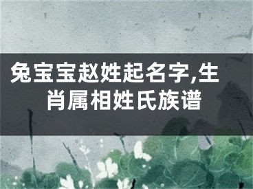 兔宝宝赵姓起名字,生肖属相姓氏族谱