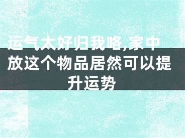 运气太好归我咯,家中放这个物品居然可以提升运势