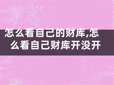 怎么看自己的财库,怎么看自己财库开没开